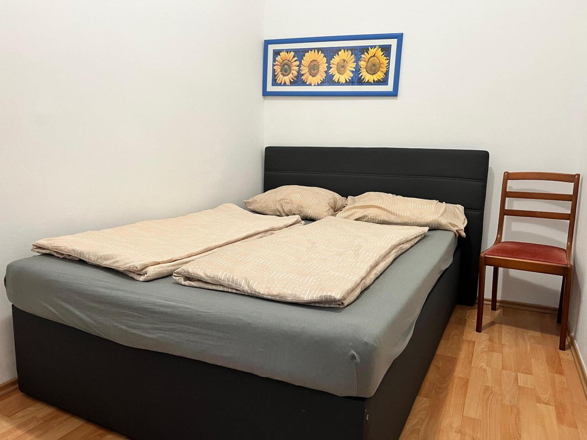 Cozy 2br Apt- Near Danube River Viena